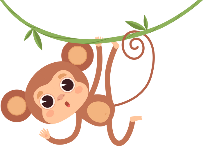 Cute monkeys Jungle wild animals baby little monkeys